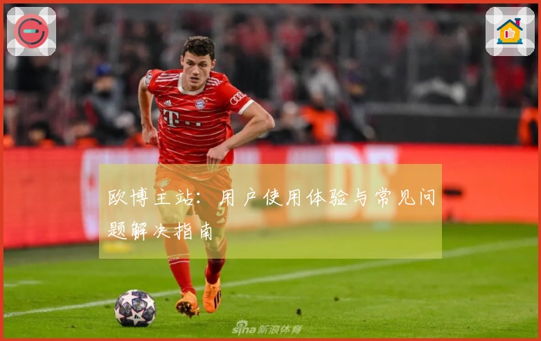 欧博主站：用户使用体验与常见问题解决指南