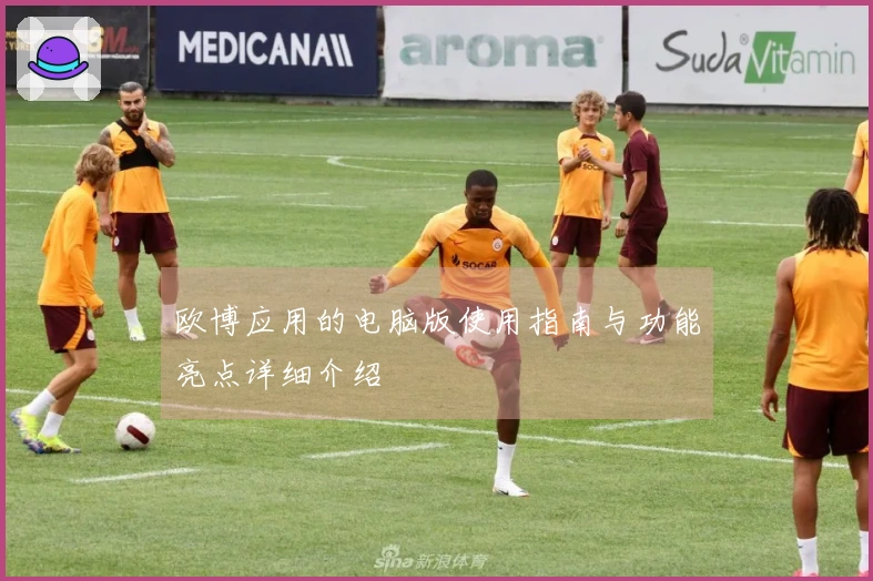 欧博应用的电脑版使用指南与功能亮点详细介绍