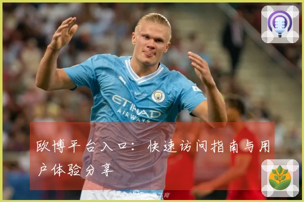 欧博平台入口：快速访问指南与用户体验分享