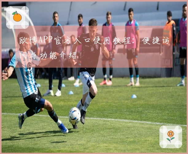 欧博APP官方入口使用教程：便捷访问与功能介绍