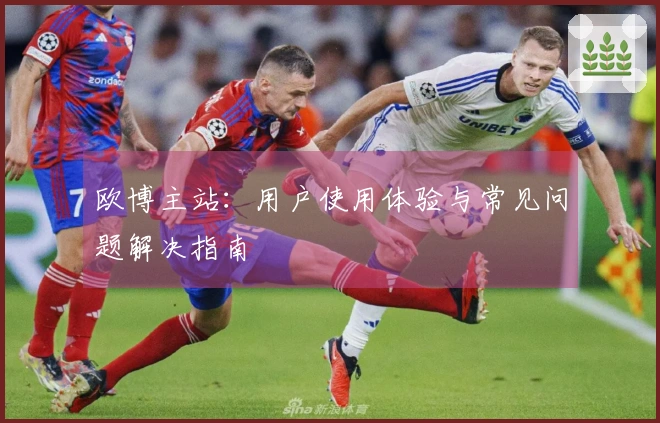 欧博主站：用户使用体验与常见问题解决指南