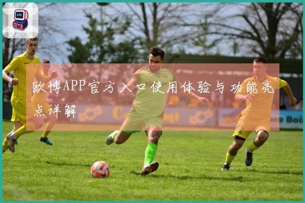 欧博APP官方入口使用体验与功能亮点详解