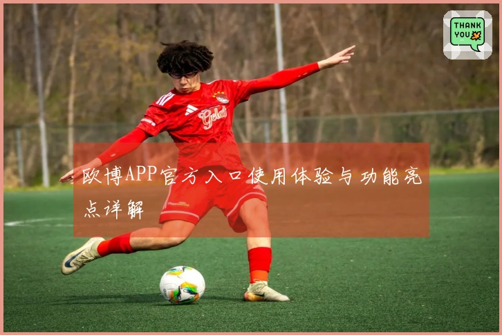 欧博APP官方入口使用体验与功能亮点详解