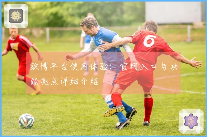 欧博平台使用体验：官网入口与功能亮点详细介绍
