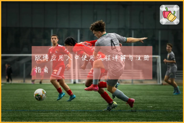 欧博应用入口使用流程详解与注册指南